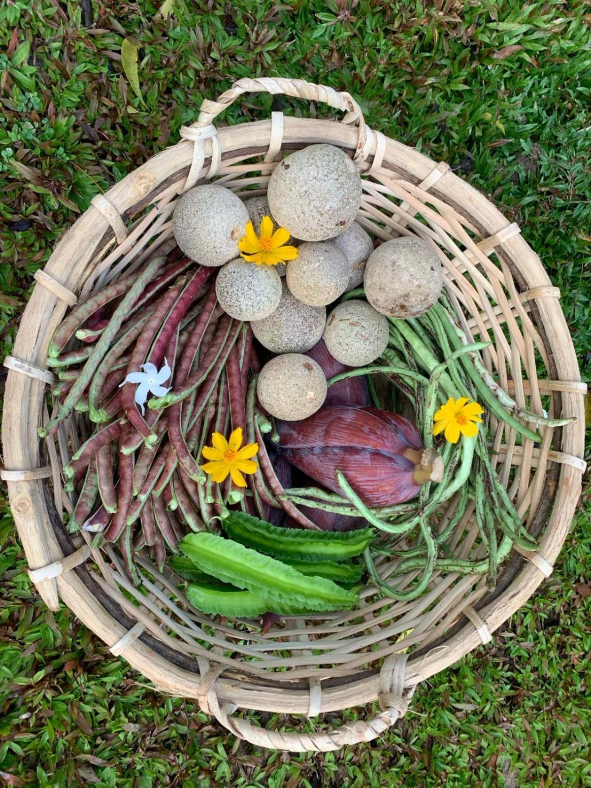 Sahana Retreat Buttala المظهر الخارجي الصورة