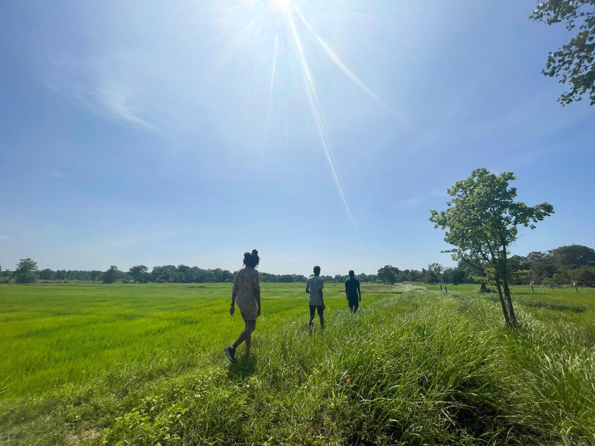 Sahana Retreat Buttala المظهر الخارجي الصورة