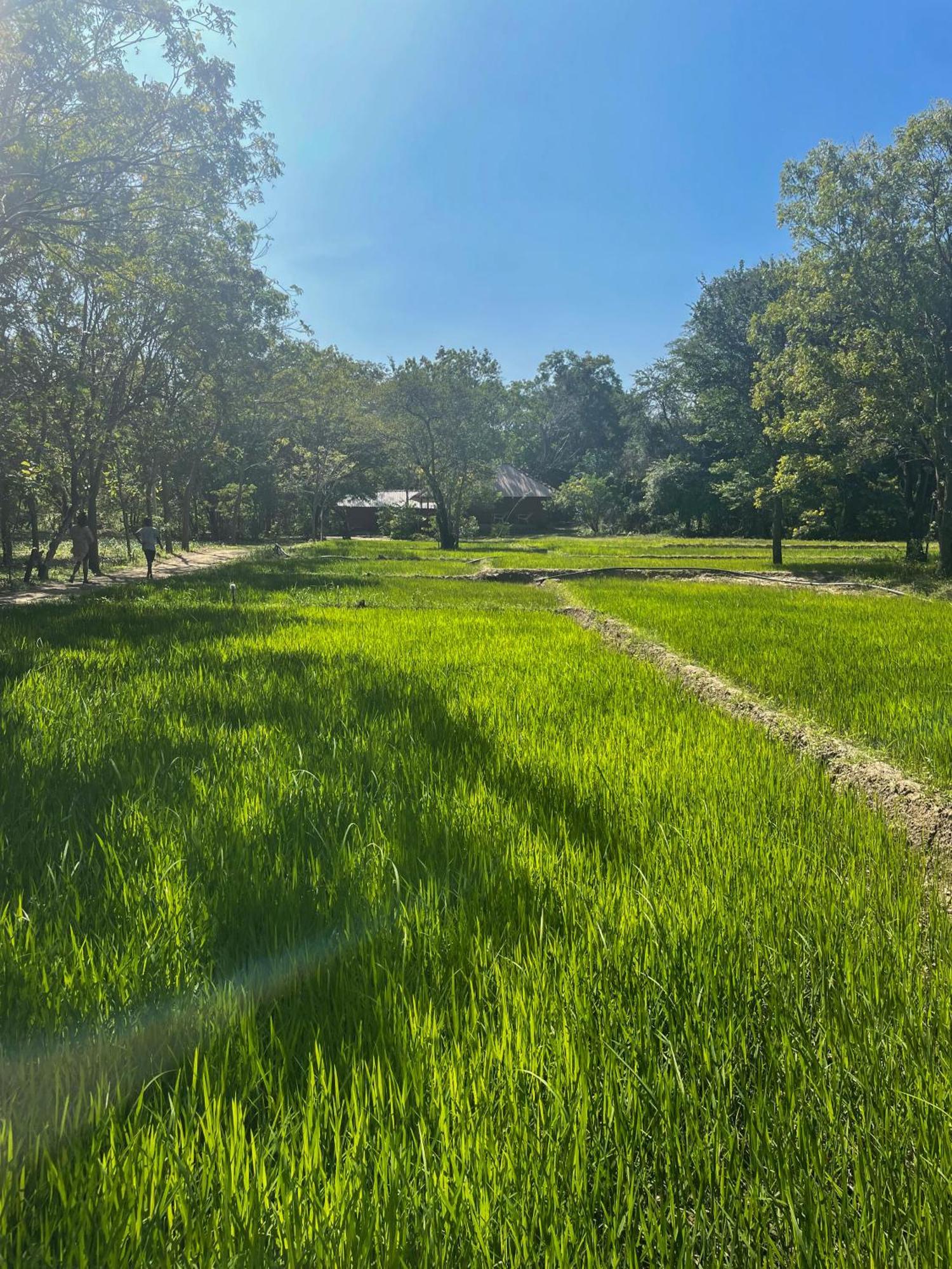 Sahana Retreat Buttala المظهر الخارجي الصورة