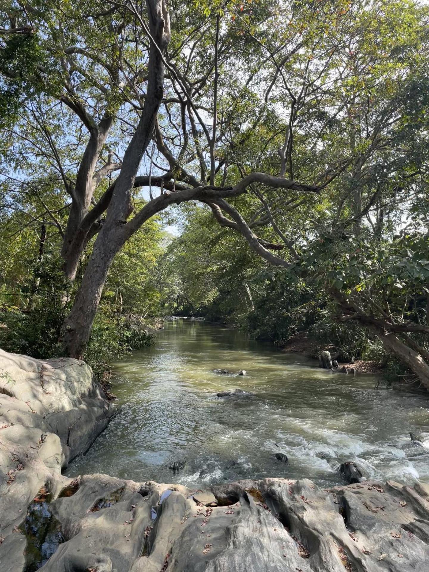 Sahana Retreat Buttala المظهر الخارجي الصورة