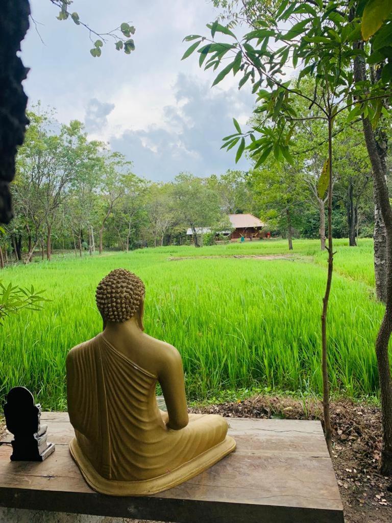 Sahana Retreat Buttala المظهر الخارجي الصورة