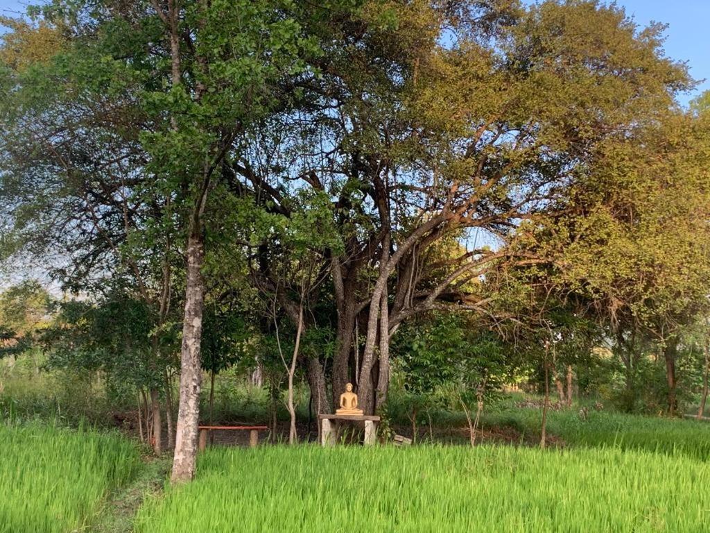 Sahana Retreat Buttala المظهر الخارجي الصورة