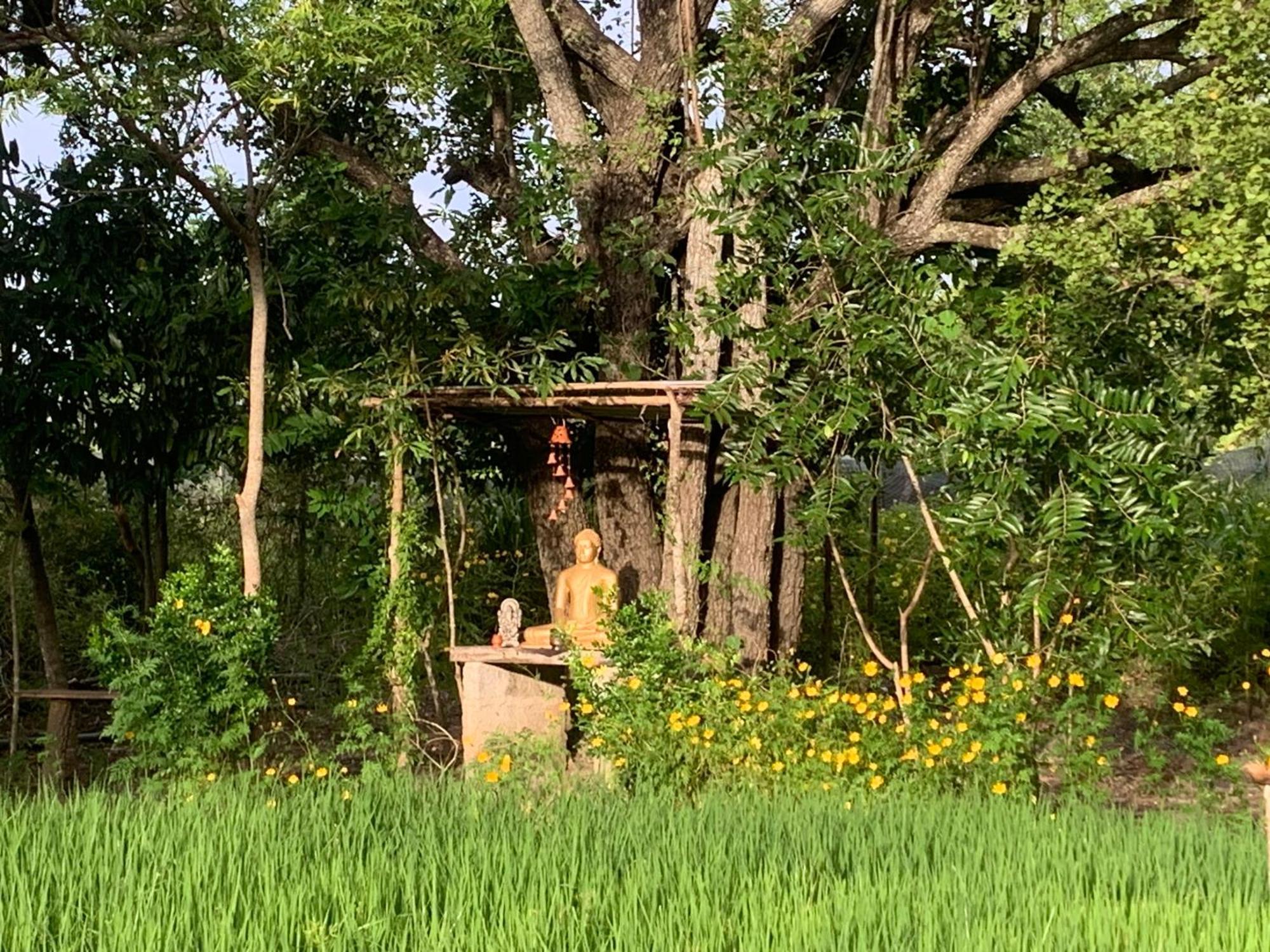 Sahana Retreat Buttala المظهر الخارجي الصورة