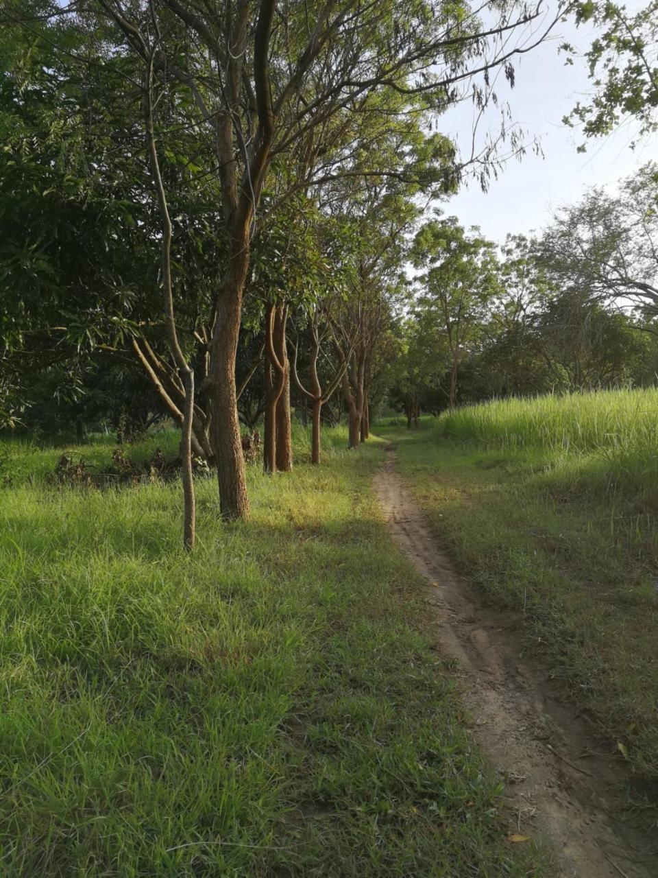 Sahana Retreat Buttala المظهر الخارجي الصورة